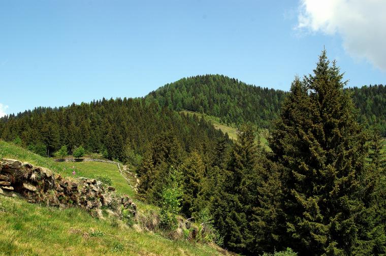 Monte Baitridana, da Albaredo per San Marco