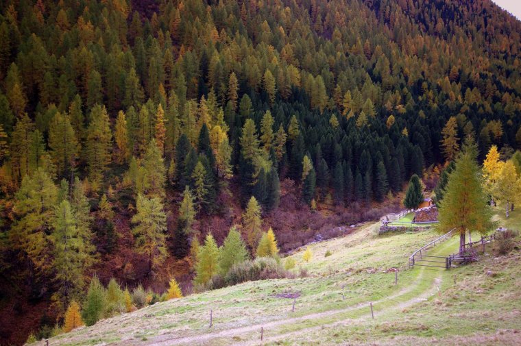 Val dal Saent, da Lughina