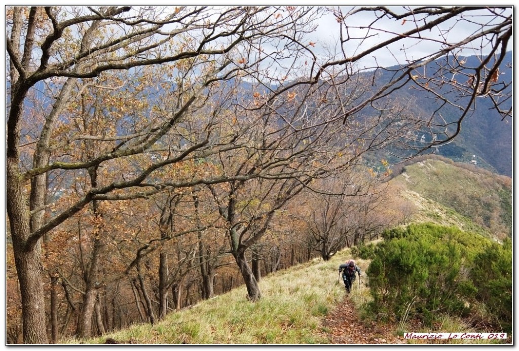risalendo il crinale