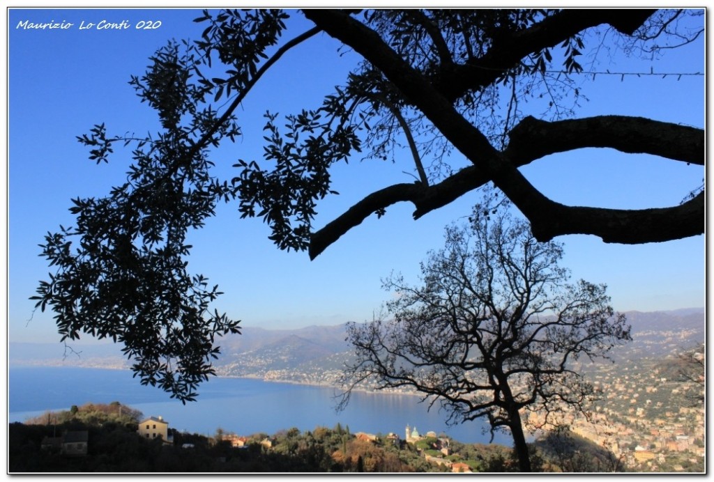 panorama sulla costa ©2020 Maurizio Lo Conti