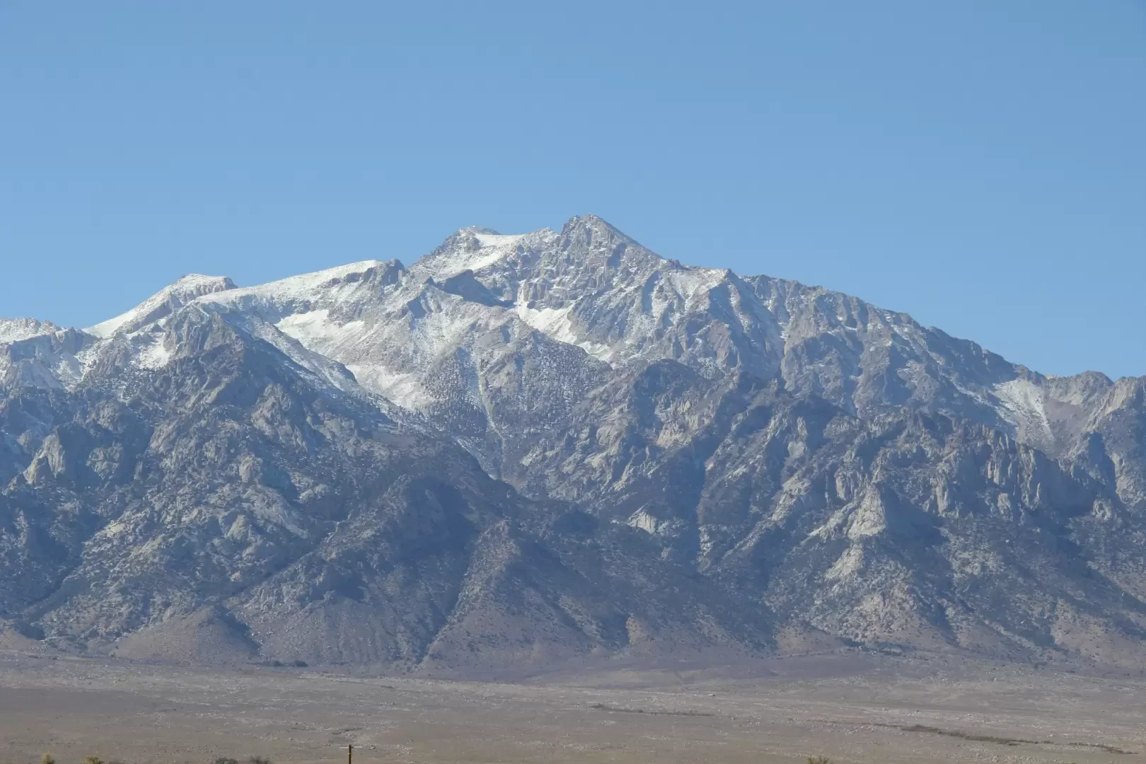 Mont Williamson