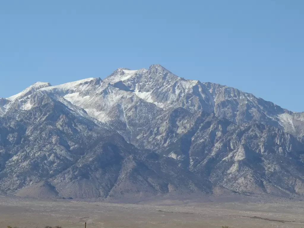 Mont Williamson