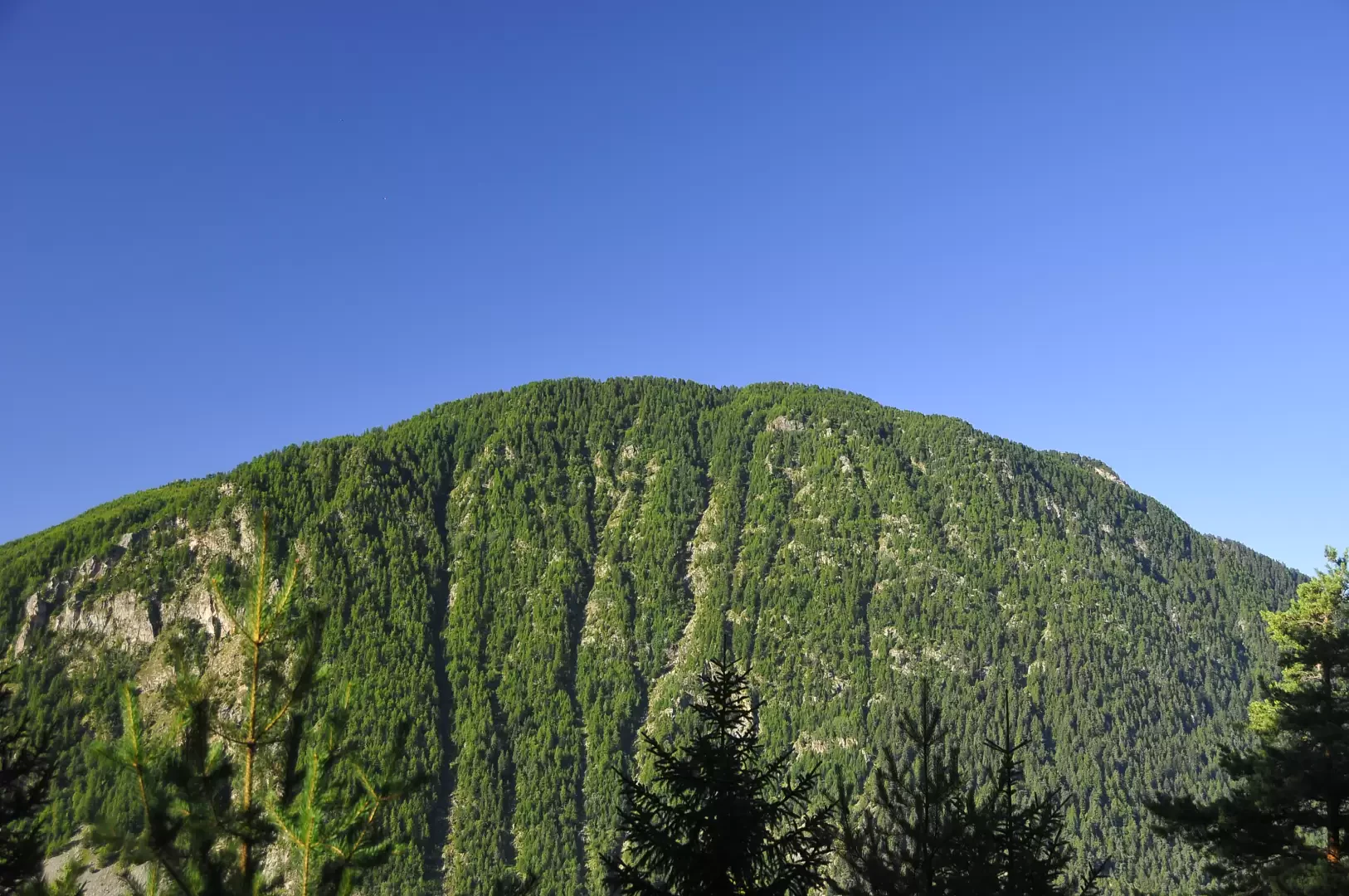 Testa di Comagna