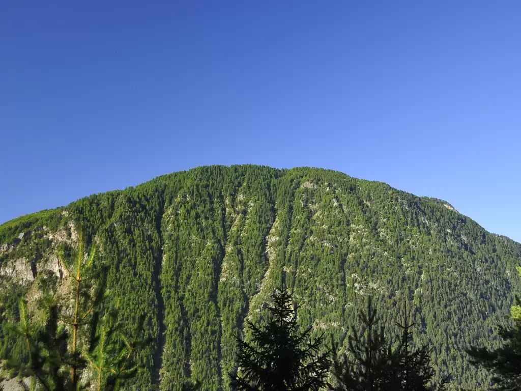 Testa di Comagna
