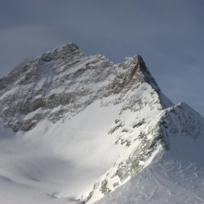 Jungfrau: prima ascensione