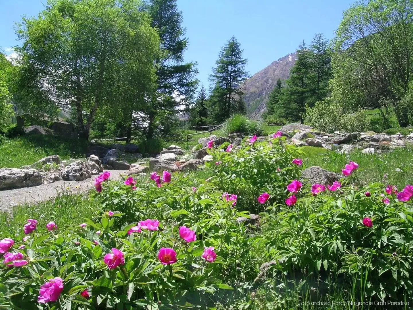 Giardino botanico alpino Paradisia